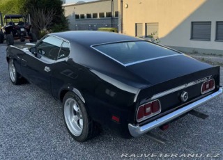 Ford Mustang Fastback 351 4V 1973