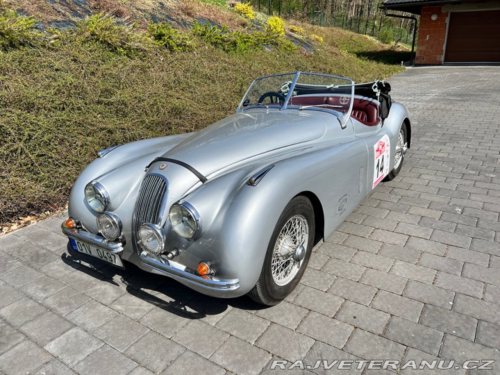 Jaguar XK 120 1951