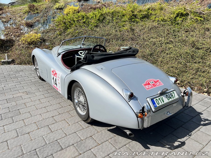 Jaguar XK 120 1951