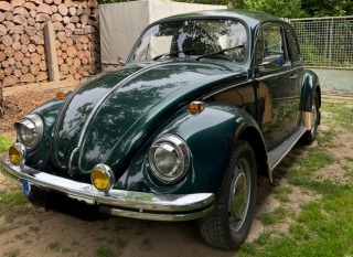 Volkswagen Brouk 