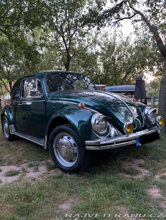 Volkswagen Brouk 1973