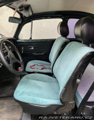 Volkswagen Brouk 1973