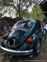 Volkswagen Brouk 1973