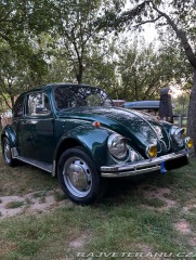 Volkswagen Brouk 1973