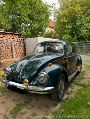 Volkswagen Brouk 1973