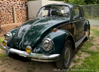 Volkswagen Brouk  1973