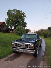 Ford F F150 1980