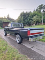 Ford F F150 1980