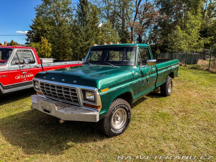 Ford F F-150 Custom 4x4 1979