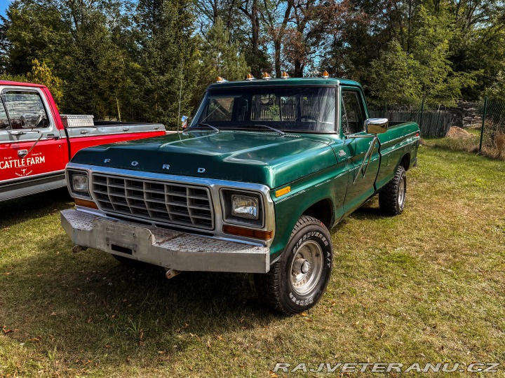 Ford F F-150 Custom 4x4 1979