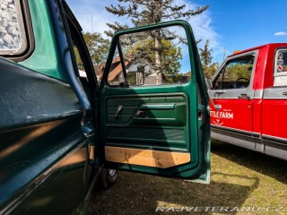Ford F F-150 Custom 4x4 1979