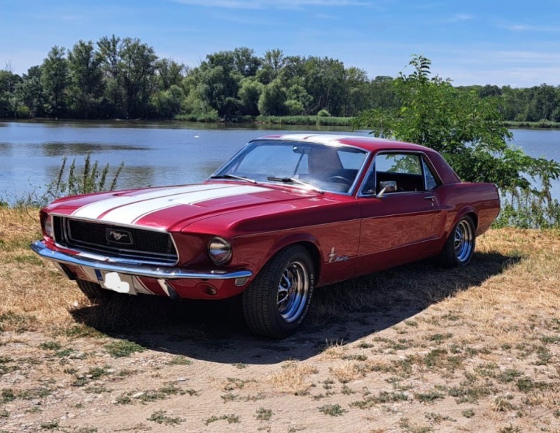 Ford Mustang 289 c.u.