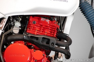 Honda XL 600 LM PD04 1986