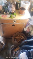 Ostatní značky Ostatní modely Retro karavan 1964