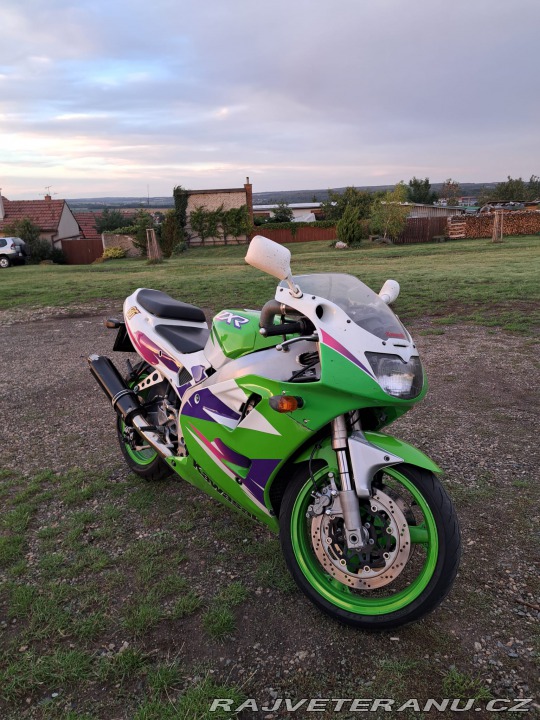 Kawasaki ZX ZXR 400 1995