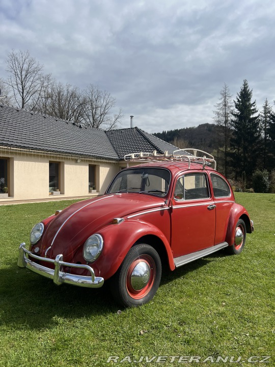 Volkswagen Brouk 1.3 1965