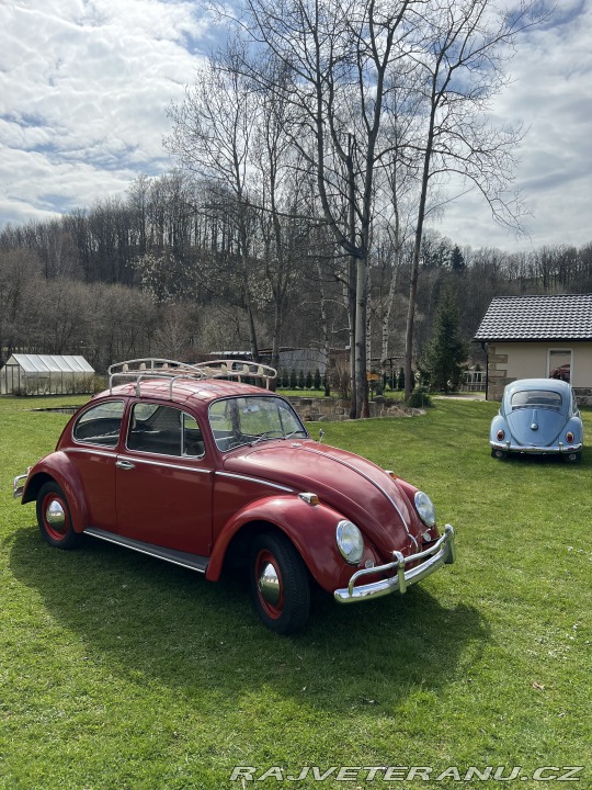 Volkswagen Brouk 1.3 1965