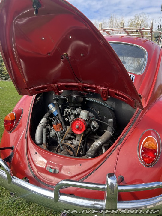 Volkswagen Brouk 1.3 1965
