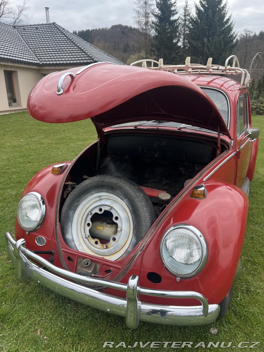 Volkswagen Brouk 1.3 1965