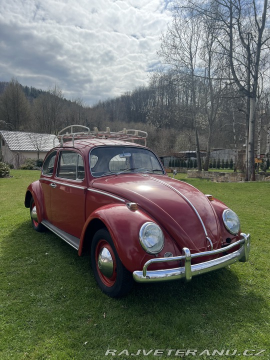 Volkswagen Brouk 1.3 1965
