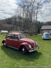 Volkswagen Brouk 1.3 1965
