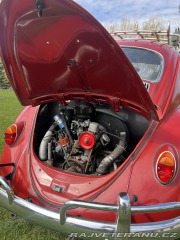 Volkswagen Brouk 1.3 1965