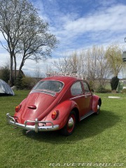 Volkswagen Brouk 1.3 1965