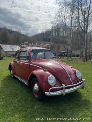 Volkswagen Brouk 1.3 1965