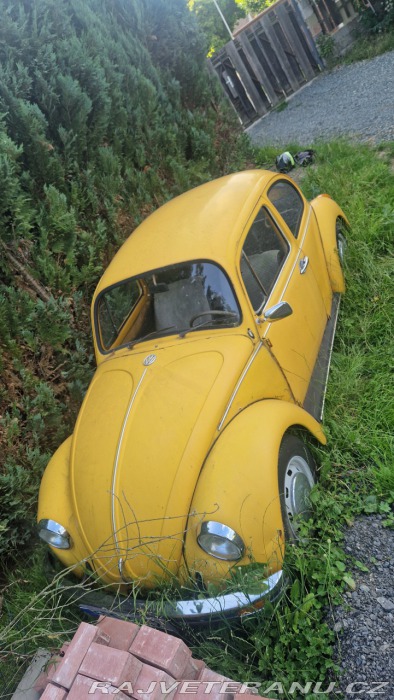 Volkswagen Brouk