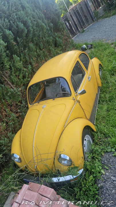 Volkswagen Brouk 1976