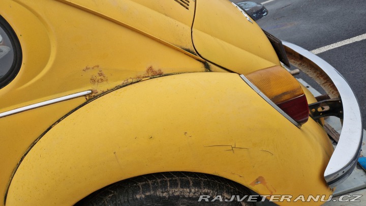 Volkswagen Brouk 1976