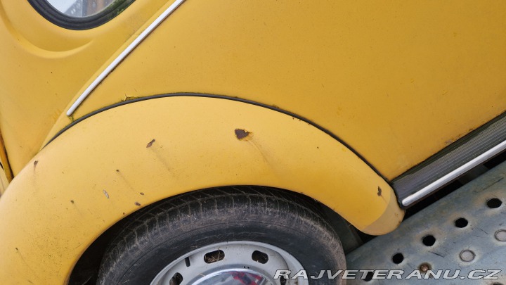 Volkswagen Brouk 1976