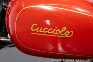 Ducati Cucciolo  1954