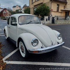 Volkswagen Brouk 