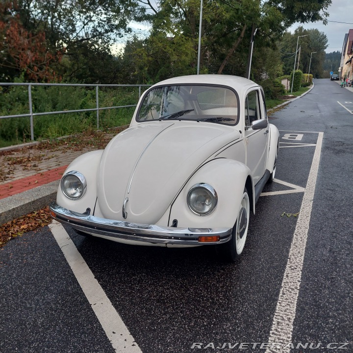 Volkswagen Brouk 1976