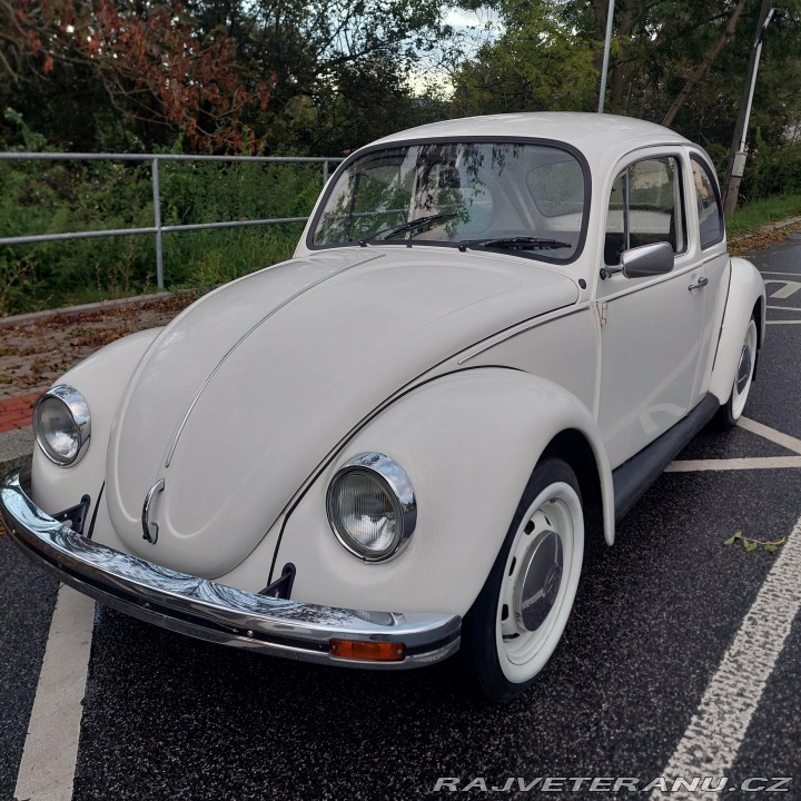 Volkswagen Brouk 1976