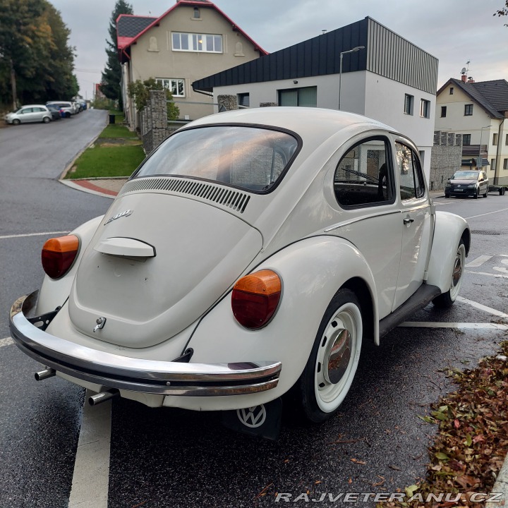 Volkswagen Brouk 1976