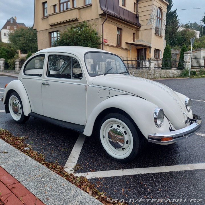 Volkswagen Brouk 1976