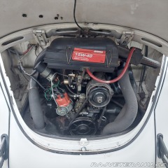 Volkswagen Brouk  1976