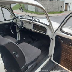 Volkswagen Brouk  1976