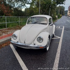 Volkswagen Brouk  1976