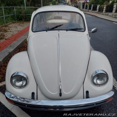 Volkswagen Brouk  1976