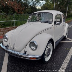 Volkswagen Brouk  1976