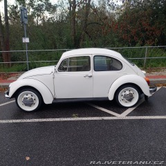 Volkswagen Brouk  1976