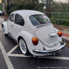 Volkswagen Brouk  1976