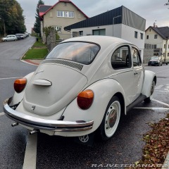 Volkswagen Brouk  1976