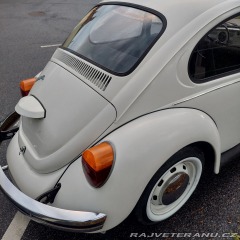 Volkswagen Brouk  1976