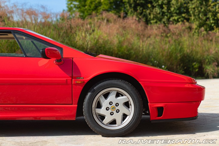 Lotus Esprit TURBO SE HIGH WING 1993