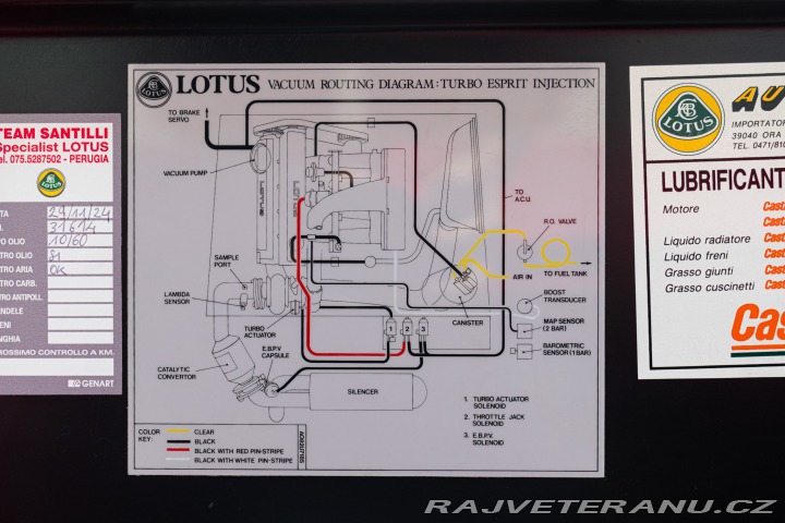 Lotus Esprit TURBO SE HIGH WING 1993