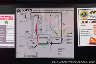Lotus Esprit TURBO SE HIGH WING 1993